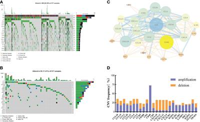 Exploiting tertiary lymphoid structures gene signature to evaluate tumor microenvironment infiltration and immunotherapy response in colorectal cancer